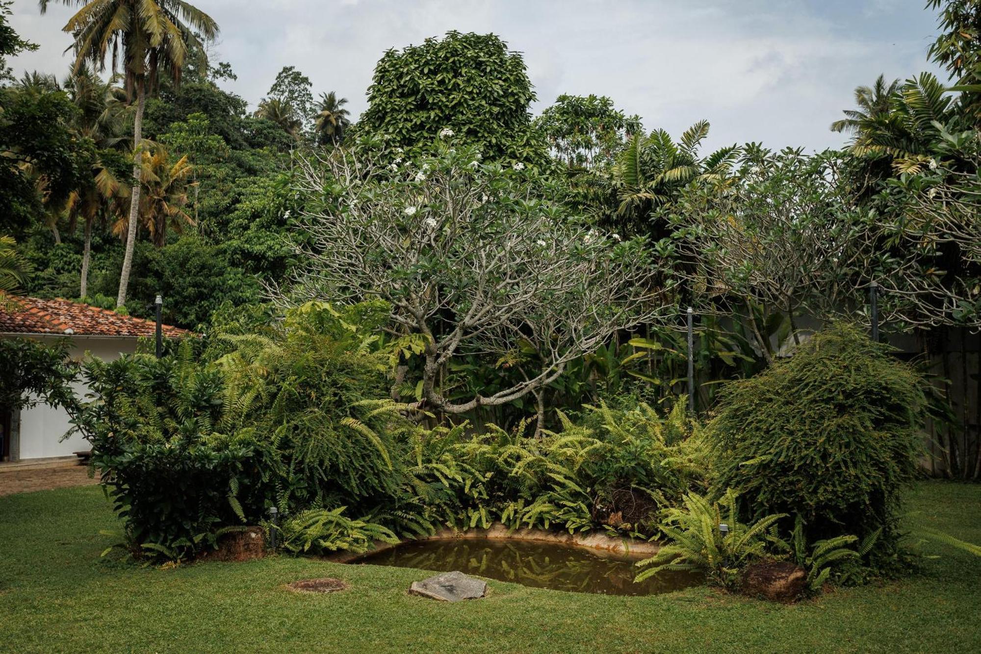 Villa White Queen Galle Exterior foto
