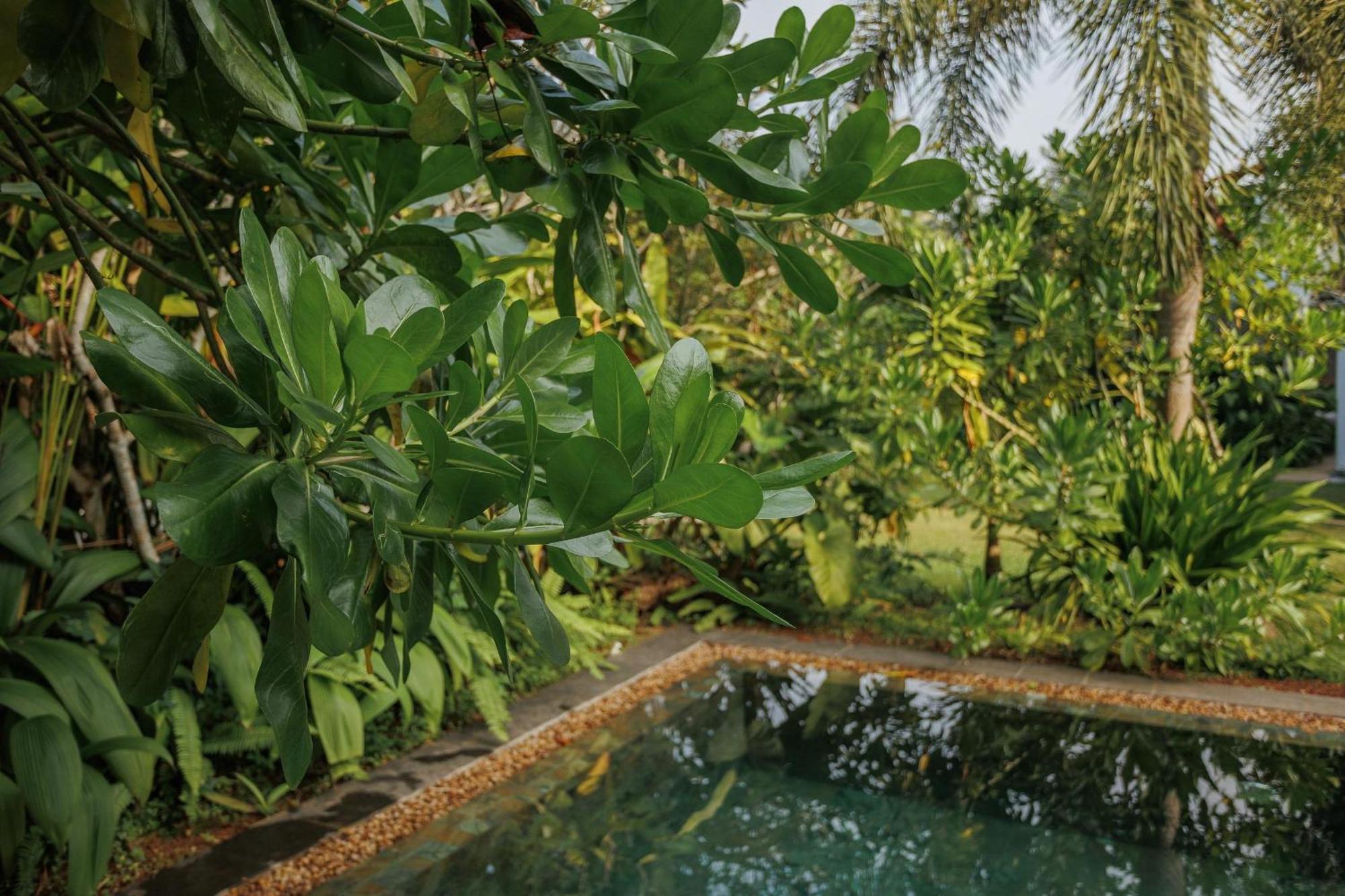 Villa White Queen Galle Exterior foto