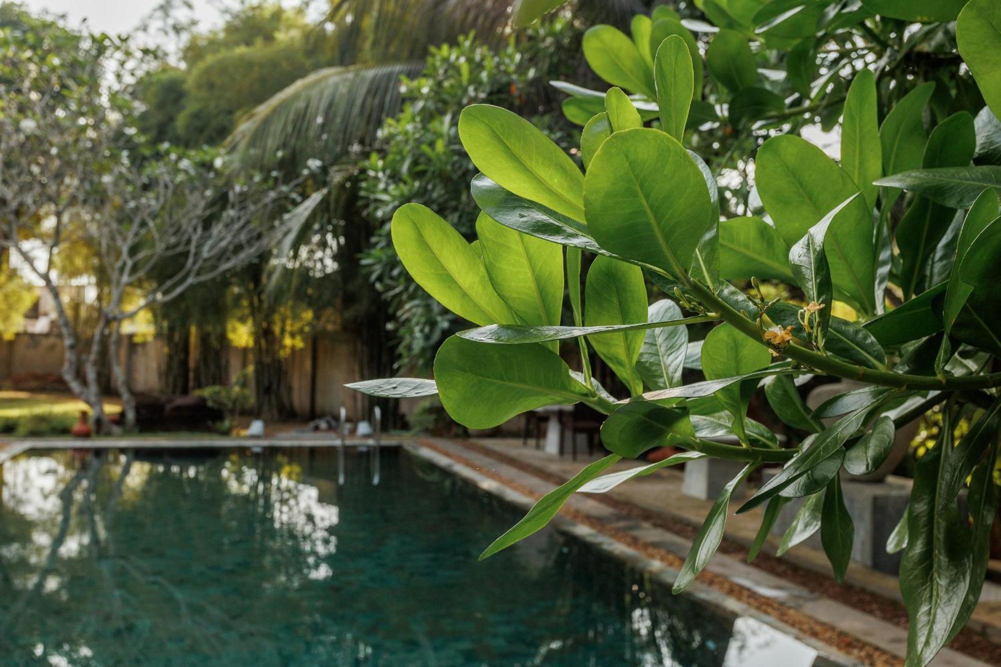 Villa White Queen Galle Exterior foto